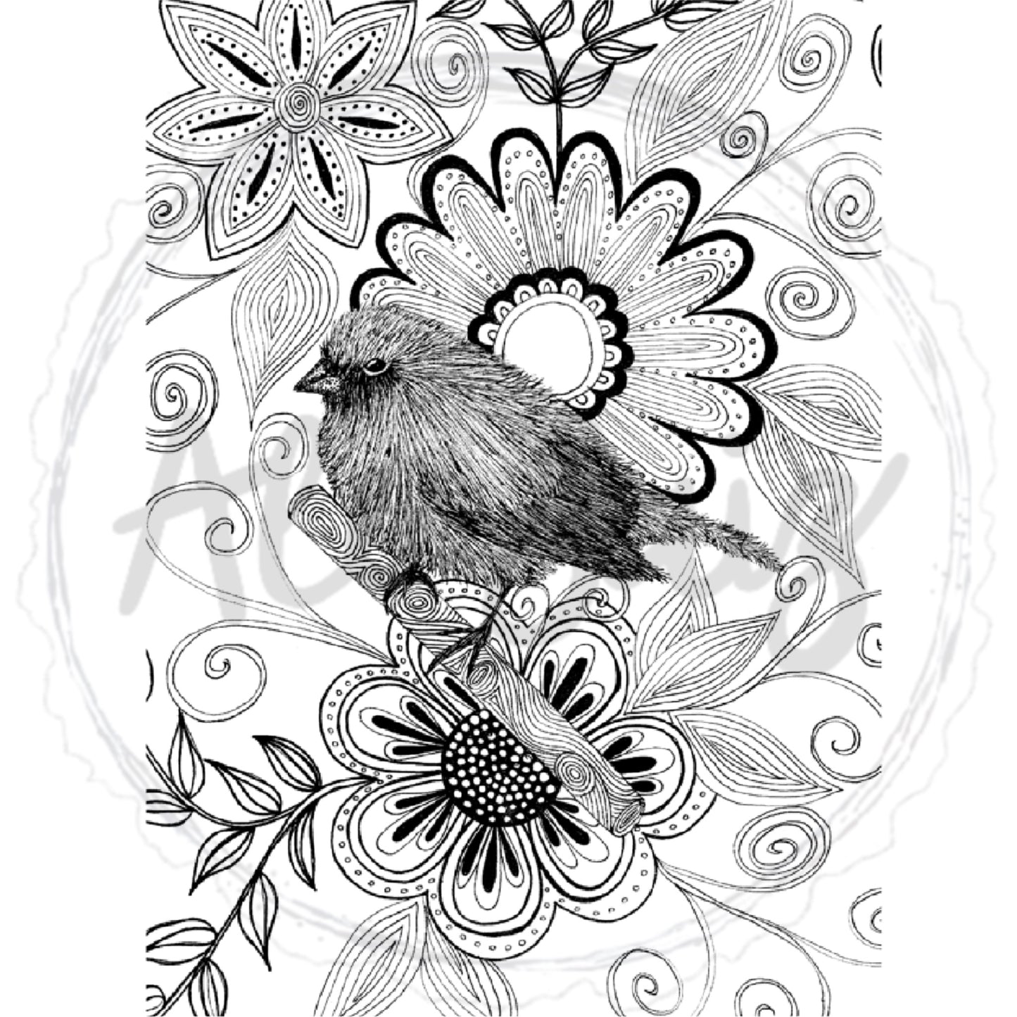 Pájaro blanco y negro