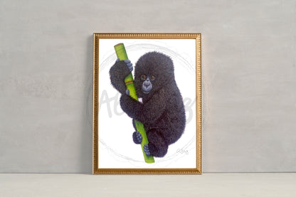 Baby gorilla