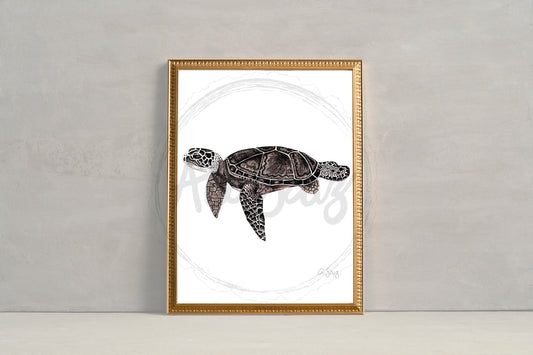 Black and white turtle