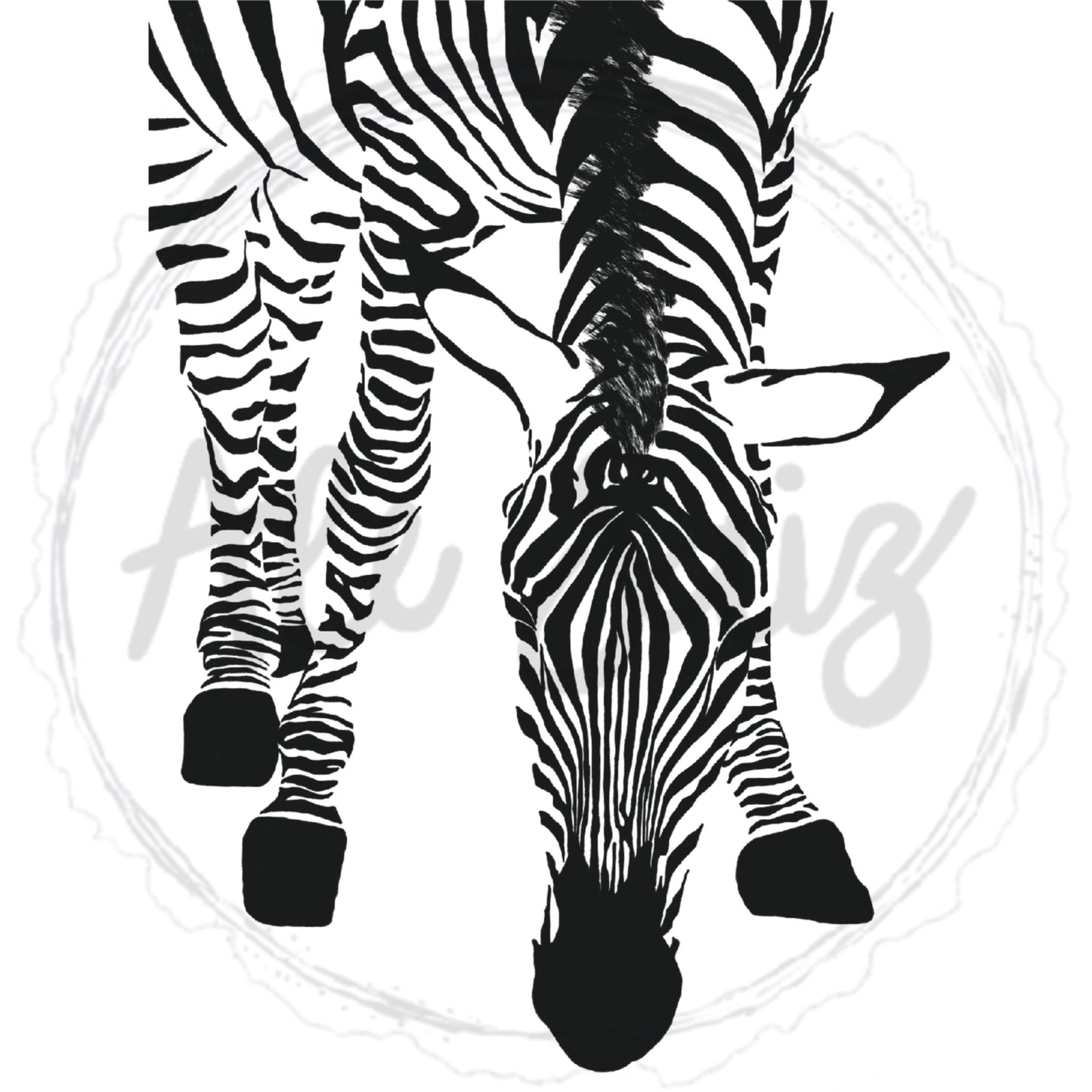 Zebra