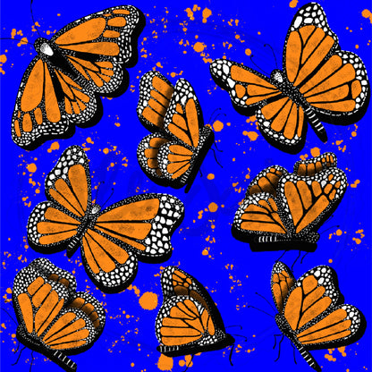 Monarch butterflies