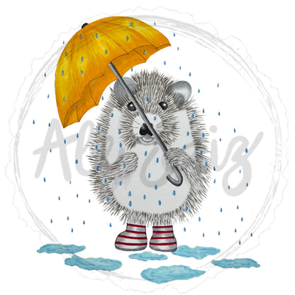 Hedgehog in the rain