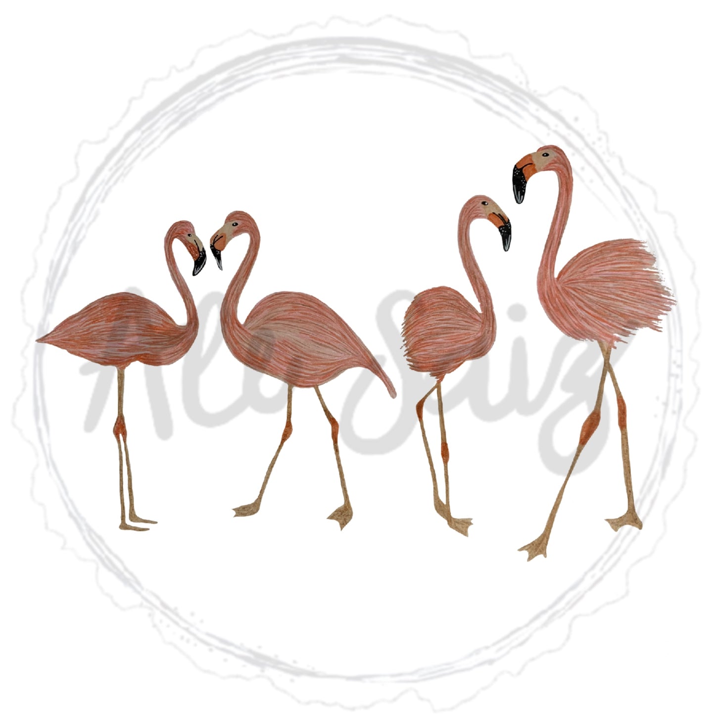 Flamingos