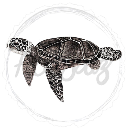 Black and white turtle