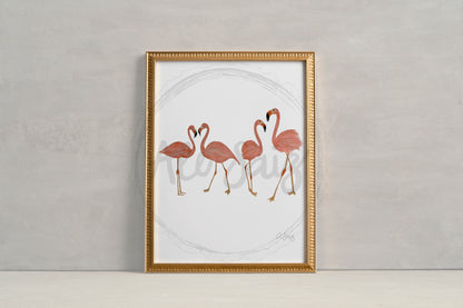 Flamingos