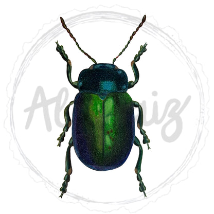 Emerald beetle