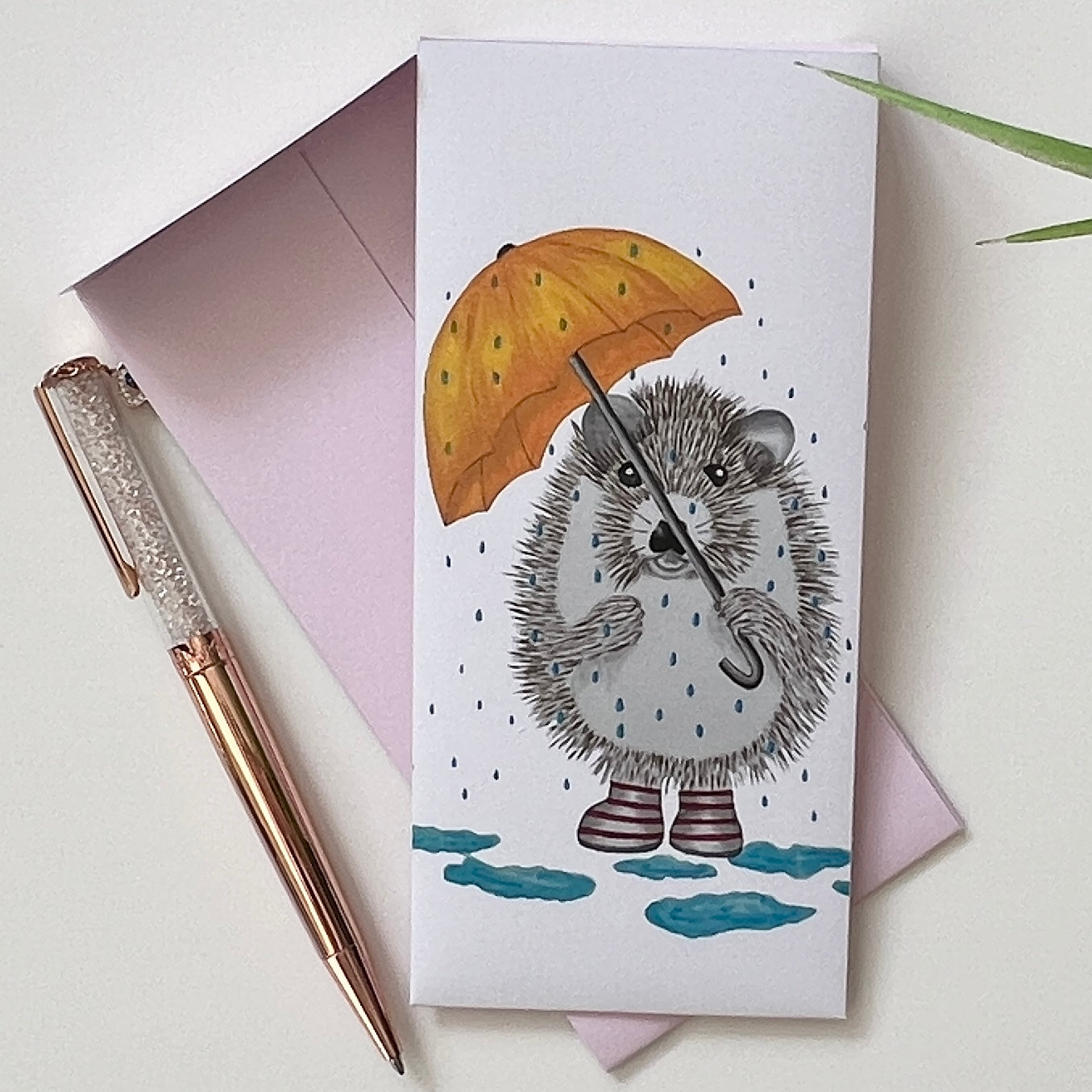 Hedgehog in the rain