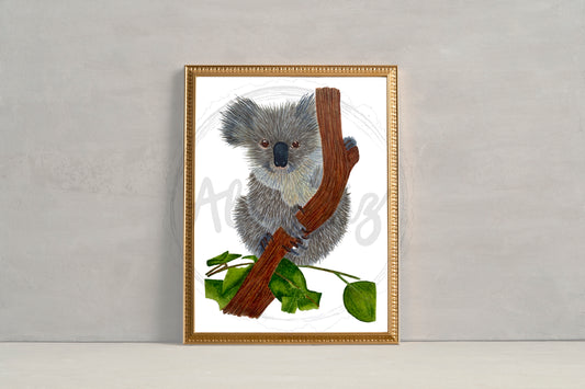 Baby Koala